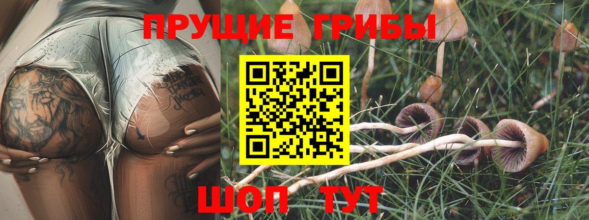 Галлюциногенные грибы MAGIC MUSHROOMS  Псилоцибиновые грибы мухоморы  Саров  Вход с VPN 